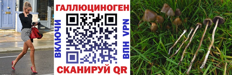 Купить  Североморск  Псилоцибиновые грибы MAGIC MUSHROOMS 